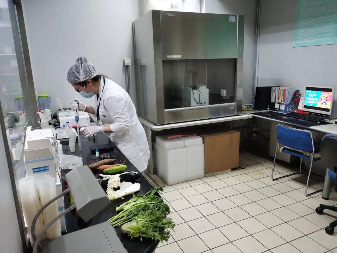 安泽食品检测实验室装修方案